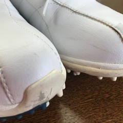 ☆ゴルフシューズ  Callaway   レディース　23㌢の画像