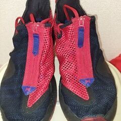 AIR PG4 28.5cm
