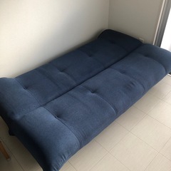 ソファーベット🛋️🐈