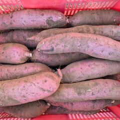 【完売です】さつまいも【特大サイズ】7キロで1000円❗️100...