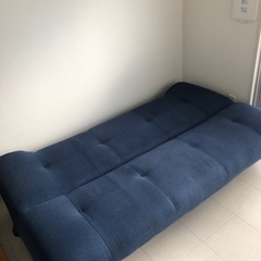 ソファーベット🛋️