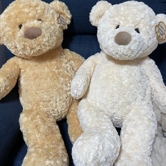 商談中)クマちゃんの飼い主さん探しております 