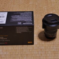 【LUMIXユーザー必見！】LEICA DG VARIO-ELM...