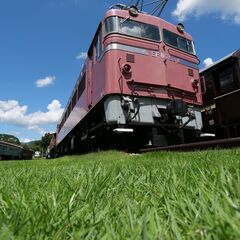 【LUMIXユーザー必見！】LEICA DG VARIO-ELMARIT 8-18mm/F2.8-4.0 ASPH.の画像