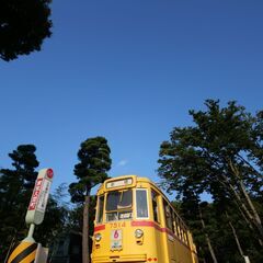 【LUMIXユーザー必見！】LEICA DG VARIO-ELMARIT 8-18mm/F2.8-4.0 ASPH.の画像