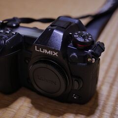 【LUMIXユーザー必見！】DC-G9