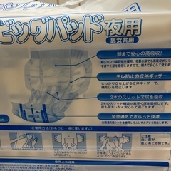 (大人用紙おむつ)エルモアいちばんビッグパッド3パックの画像