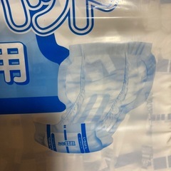 (大人用紙おむつ)エルモアいちばんビッグパッド3パックの画像
