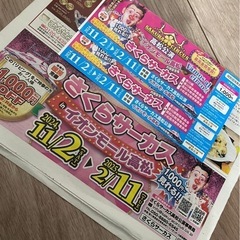 【値下げ中】さくらサーカス特別招待席券2枚＋当日券1000円off