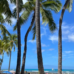 【✨年齢制限なし/学歴不問/人物重視✨】未経験OK！社長候補者！カジュアル面談！応募者全員とお会い致します🤗の画像