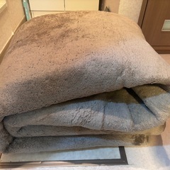 値下‼️❤️
NITORI ラグ Nウォーム SPq-o MO 200×240cmの画像