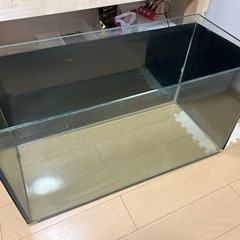 GEXの90センチオールガラス水槽
