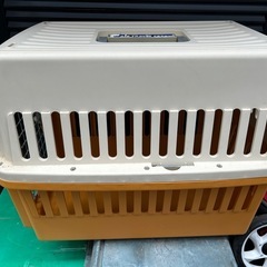 犬のキャリーボックスの画像