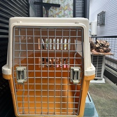 犬のキャリーボックスの画像