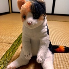 ねこのぬいぐるみ