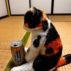 ねこのぬいぐるみの画像