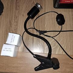 爬虫類　バスキングライト
