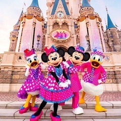 ディズニーランド同行者募集　12月17日(火)