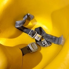 バンブーの画像