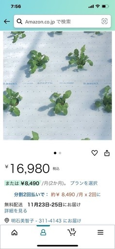 サマーマルチ