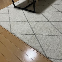 カーペット(使用1週間ほど)