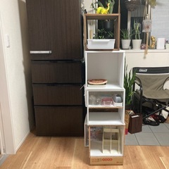 棚とColemanのキャンピングチェアー