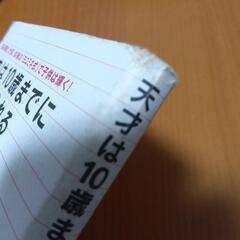 (中古)天才は10歳までにつくられる　横峯吉文の画像