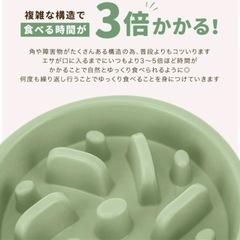 お値下げ　餌入れ　早食い防止　グリーン　未使用の画像