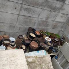 盆栽鉢や植木鉢差し上げます
