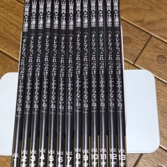 片山晋呉 江連忠 ゴルフ オレならこれ一つだけしかやらないね 圧倒的に上達するクールでパワフルなゴルフ上達ドキュメント DVD 1~13巻 全13巻セットの画像