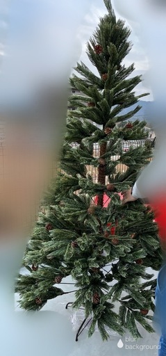 取引決定　クリスマスツリー