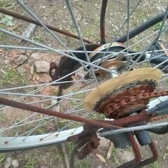 自転車譲ります（現在キャンセル待ちとなります）の画像