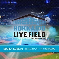 11/23エスコンフィールドチケット2枚