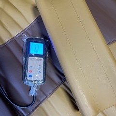 お届けも可　ゴロンネルの画像