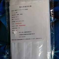 不織布マスク１０枚／１セット