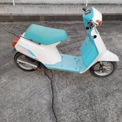 ホンダ イブパックス DIOタクトディオ