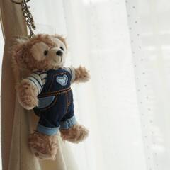 ぬいぐるみ ディズニー　リーナベル ぬいぐるみキーホルダーの画像