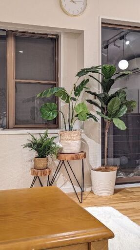 フェイクグリーンお譲りします　3つセット