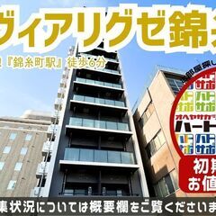 2LDK限定3万円キャッシュバック【クレヴィアリグゼ錦糸町】錦糸町駅｜ルームツアー参考動画（掲載日2024年11月15日　広告有効期限14日間）の画像