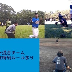 今年で20周年 カラーボール・プワボール野球サークル - 小平市