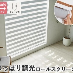 調光　ロールスクリーン　遮光・つっぱり式・チェーン操作タイプ　1...
