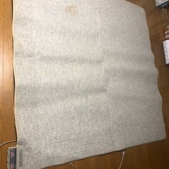 ホットカーペットの画像