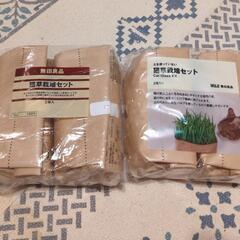 無印良品　猫草栽培セット