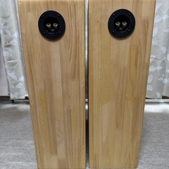 FOSTEX EF108EΣ バックロードホーン　ペアの画像