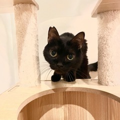 ビビりだけど甘えたい♡ピノ子