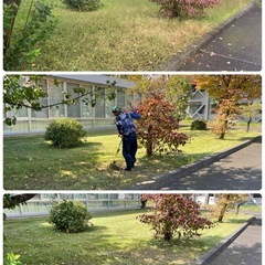 庭園維持管理 外構工事が主 男女問わず募集中 所沢市の画像