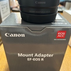 キャノンEOS R100の画像