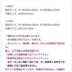 郵送可★スタジオアリス★四つ切り、六つ切り★デザインフォト②(フレーム付)1万円相当超のプレゼント券の画像
