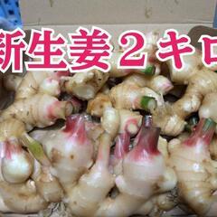 新生姜2キロ　