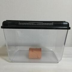 【値下げ】飼育容器(プラケース)